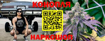 шишки Абакан